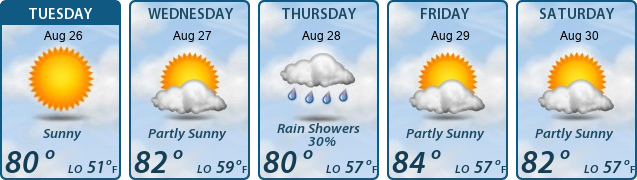 5-Day Forecast