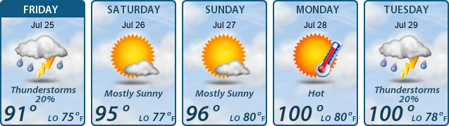 5-Day Forecast