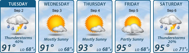 5-Day Forecast